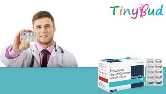 Moxyplit CV 375 Tablet at Best Price in Antibiotic Franchise for Beta-lactamase Inhibitor.